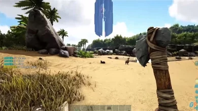 ark